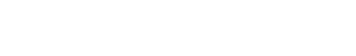 Navigator Program